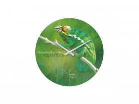 Часы настенные Nicole Time NT503 в Сосновке - sosnovka.mebel-nsk.ru | фото